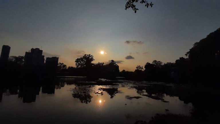 Top 8 Parks to Explore in Quezon City