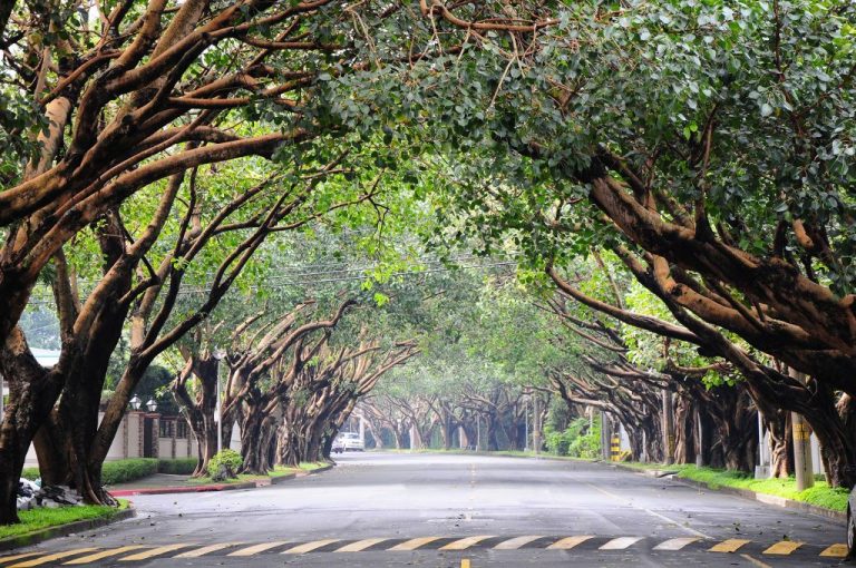 Neighborhood Guide: Dasmariñas Village, Makati