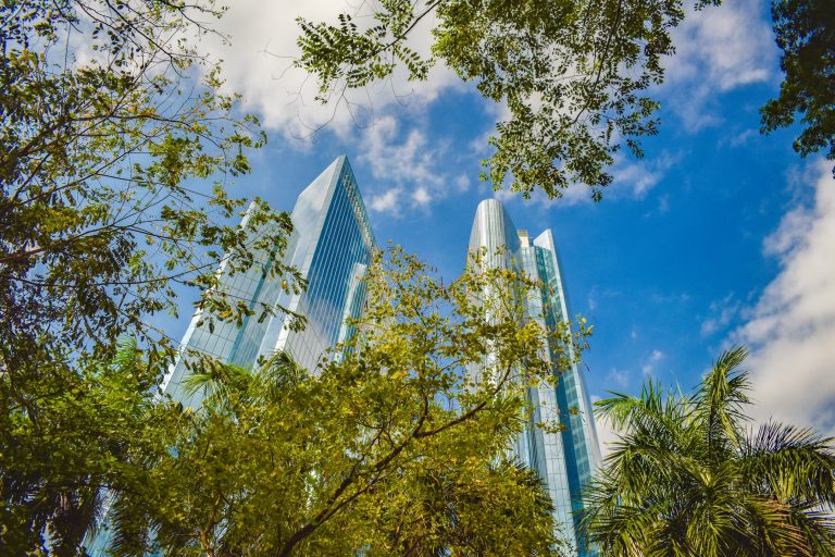 Neighborhood Guide: Greenbelt