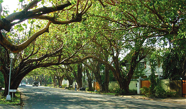 Dasma Village: Makati’s Serene Sanctuary in the Midst of Urban Buzz